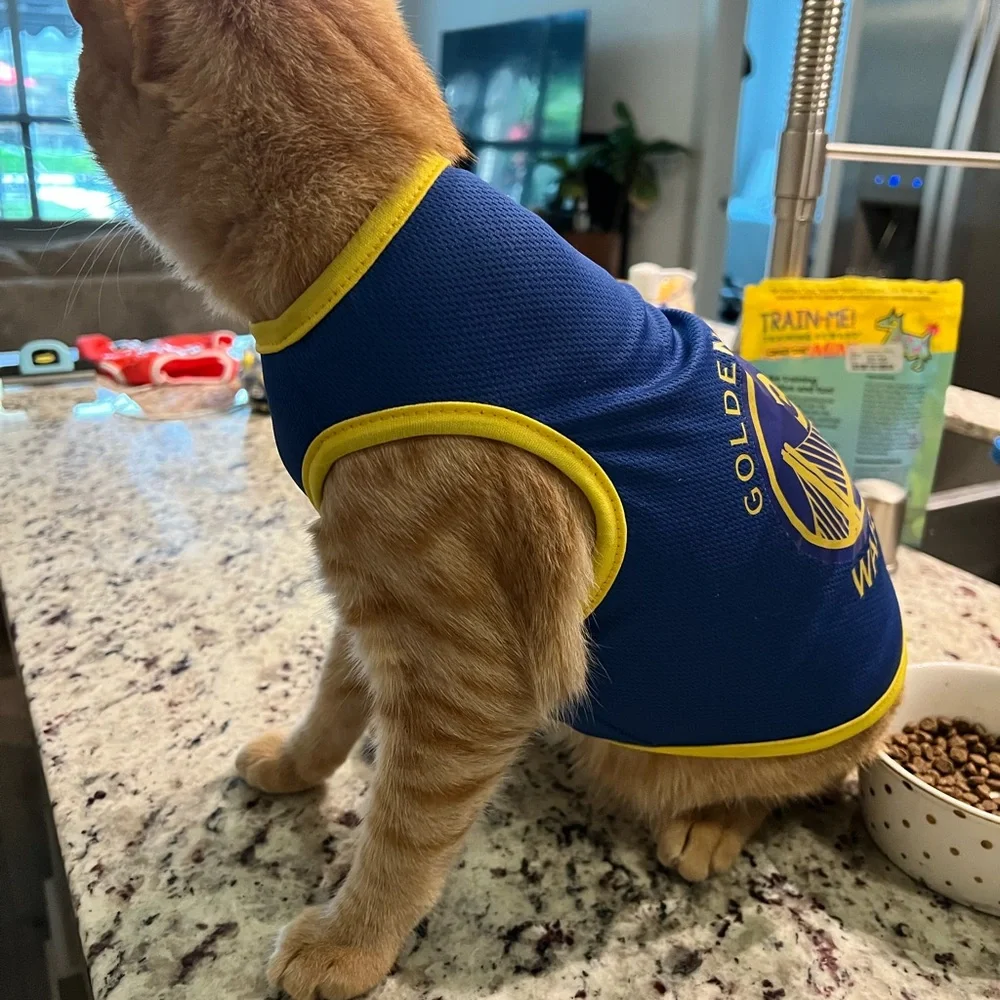 Cat Clothing